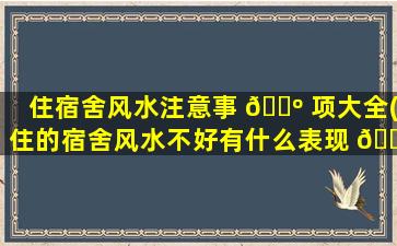 住宿舍风水注意事 🐺 项大全(住的宿舍风水不好有什么表现 🐝 如何*
)